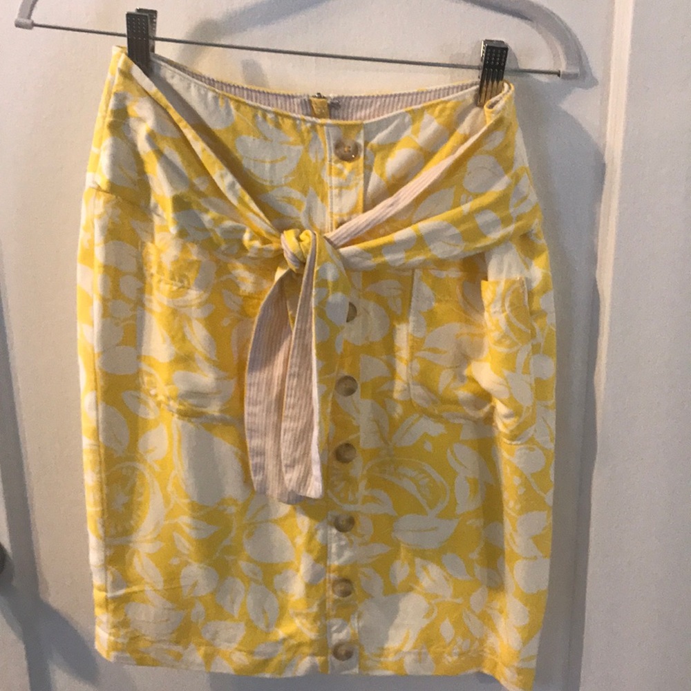 Anthropologie Skirt